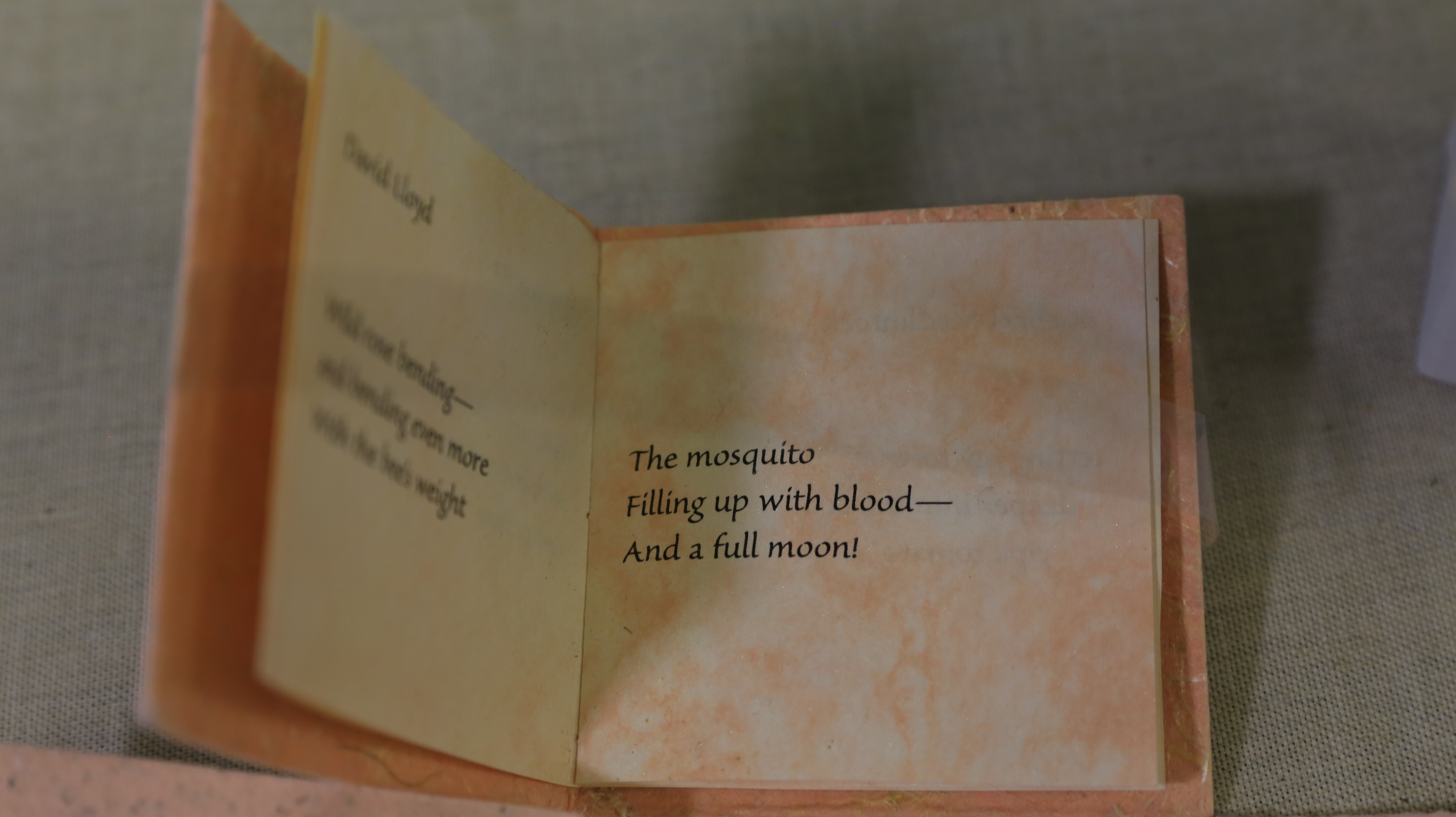 Open detail of book, Haiku Box