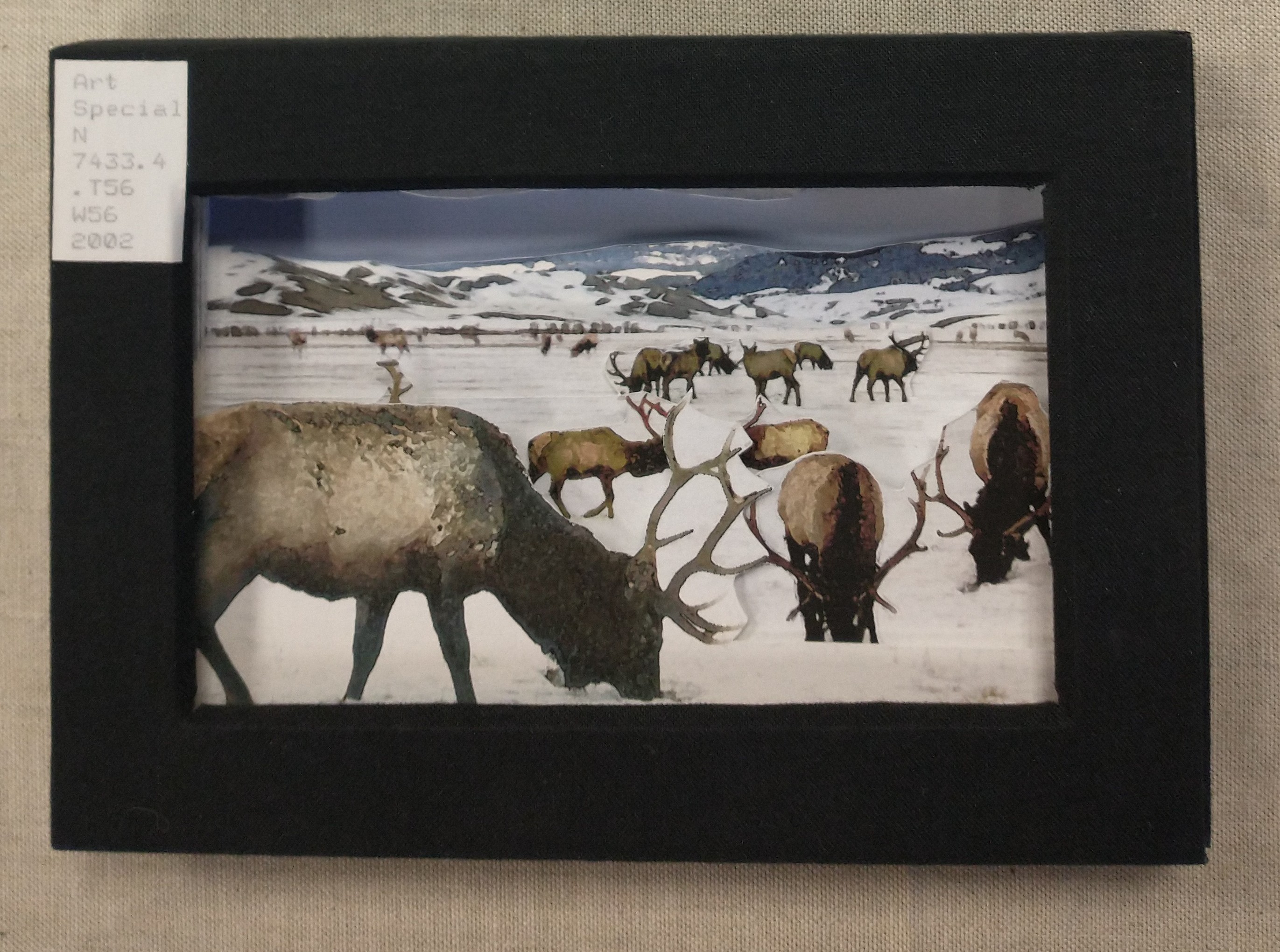 Winter Elk photograph