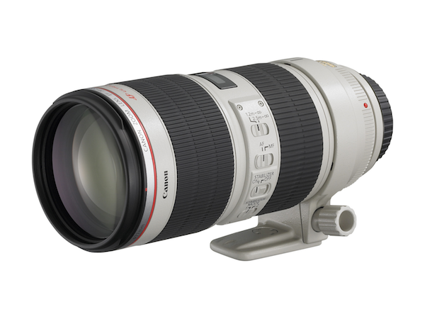 Canon 70-200mm Zoom Lens