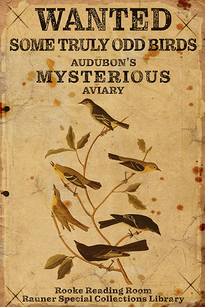 Some Truly Odd Birds: Audubon\'s Mysterious Aviary