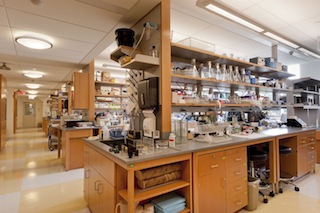Lab picture