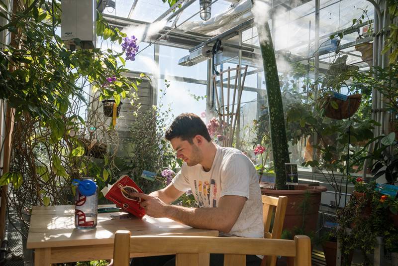 A student reads at a table in the Greenhouse.
