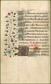 folio 10, verso