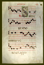 folio 29, recto