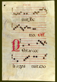 folio 29, verso