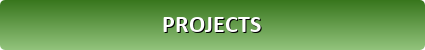 Projects button