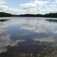 Temperature Effects on Food Web Interactions: From Lakes to Landscapes 