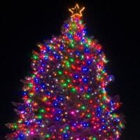 Christmas Tree Lighting with the Christmas Revels Chorus