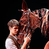 National Theatre Live: "War Horse"