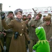 Hop Film: Muppets Most Wanted
