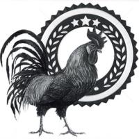 Letterpress Intensive: Candidate for a Pullet Surprise