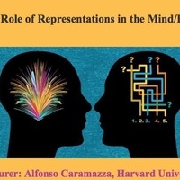 The Role of Representations in the Mind/Brain