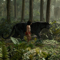 Hop Film: The Jungle Book