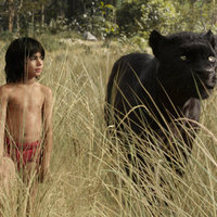 Hop Film: The Jungle Book