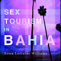 "The Politics of Race and Sex in Salvador's Tourism Industry," Erica L. Williams
