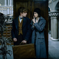 Film: "Fantastic Beasts and Where to Find Them"