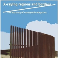 X-Raying Regions and Borders: The Anatomy of Contested Categories