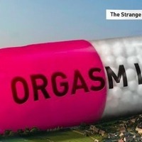 "Orgasm, Inc." Screening 