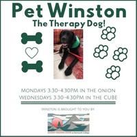 Visit from Winston, VT Therapy Dog