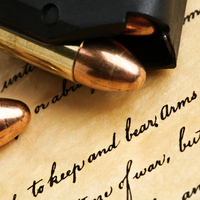 Critical Thinking For The Preservation of Our Democracy: Gun Rights