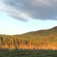 The Future of the Northern Forest in a Time of Change