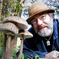 Film: "Fantastic Fungi"