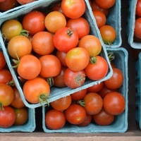 Collis Farmstand
