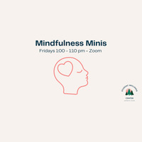 Mindfulness Minis