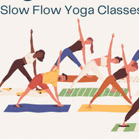 Yoga for EveryBODY: All-Levels Slow Flow Yoga Classes - Taught by LB White 