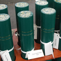 Diploma Distribution