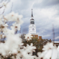 Literary and Cultural Studies Honors Information Session
