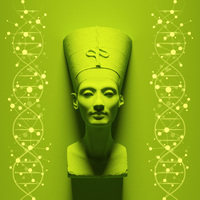 Life and Death on the Nile: DNA and the Royal Mummies