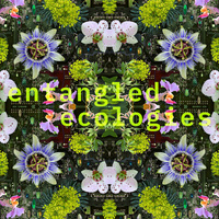 Entangled Ecologies: A fashion and Tech Runway Show