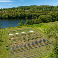 Brewhaha at the Dartmouth Organic Farm