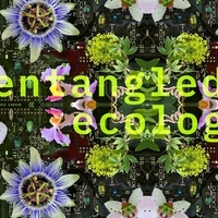 Digital Arts Fashion Show: Entangled Ecologies