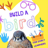 HopStop Family Event: Build a Bird of Prey