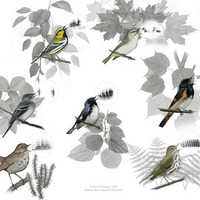 Exhibit reception for Curiosities in Common: Birds + Data 
