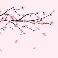 Department of Theater: The Cherry Orchard