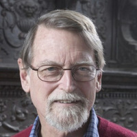 Comparing AIs and the Human Brain: the Challenge of Agency