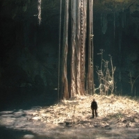 Underland (with writer Robert Macfarlane in person)