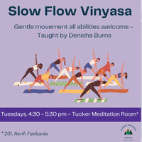 Slow Flow Vinyasa